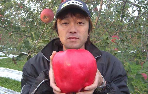 A legnagyobb alma